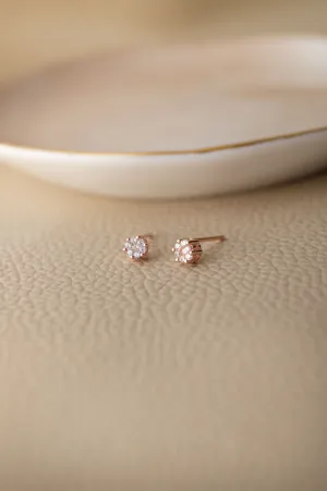 Itsy Bitsy Rose Gold Plated Sterling Silver Stud Earrings